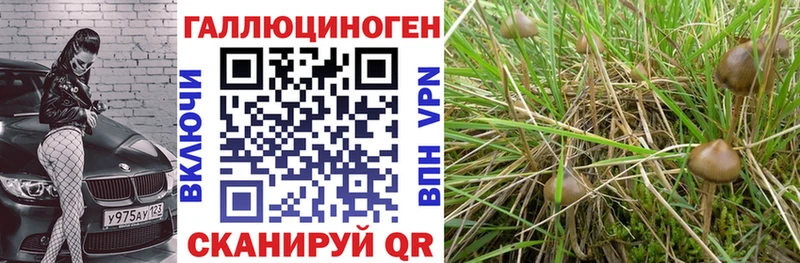 Псилоцибиновые грибы мухоморы  Данилов 