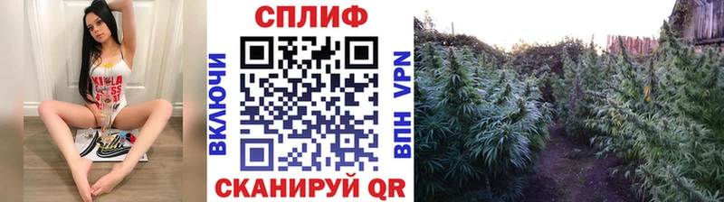 Бошки марихуана Bruce Banner  наркошоп  гидра tor  Данилов 